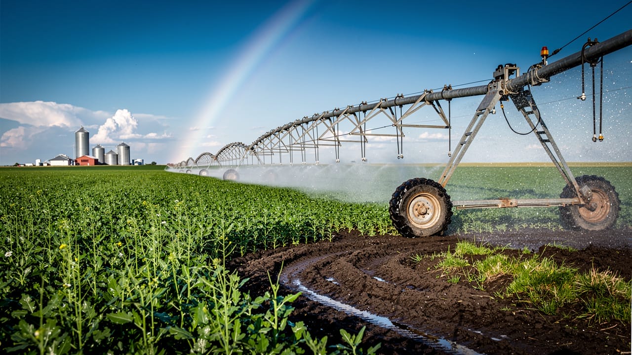 Centre pivot irrigation system watering crop field in Alberta summer