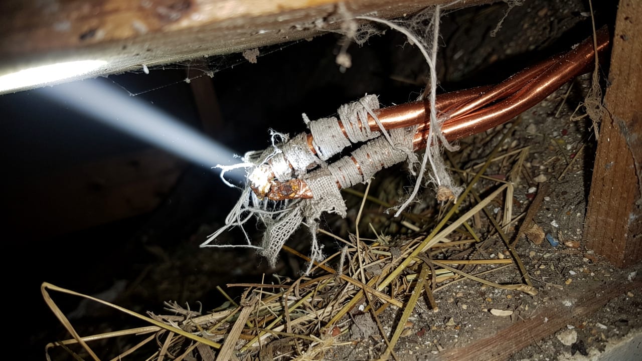 Rodent-chewed wiring with exposed copper in farm wall cavity