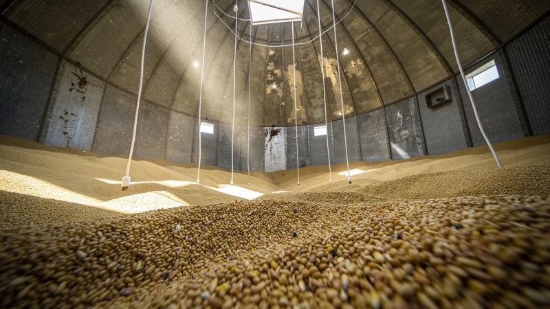 Sensor cables hanging inside a large grain storage bin